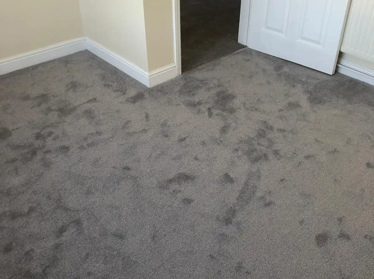 Grey carpet in bedroom
